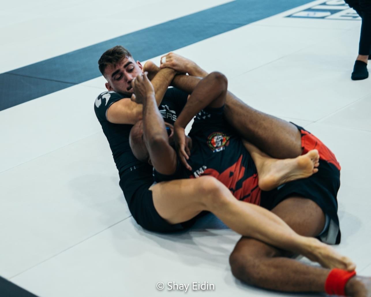 שלו אלנברג בקרב BJJ