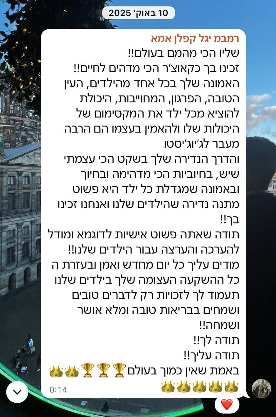 מכתב הערכה מהורה למאמן הג'יוג'יטסו שלו אלנברג - Fusion BJJ חיפה